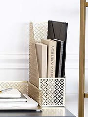 Load image into Gallery viewer, Riviera Gold Magazine File Holder - Decorative Magazine Holder for Desk - Metal Magazine Holders for Shelves - Magazine Organizer Bin - Book Holder and File Boxes