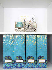 Load image into Gallery viewer, Foldable Magazine File Holder with Gold Label Holder - Set of 4 - Peacock