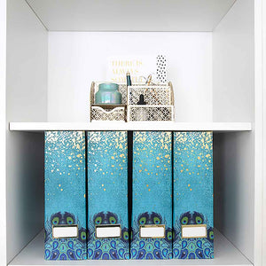 Load image into Gallery viewer, Foldable Magazine File Holder with Gold Label Holder - Set of 4 - Peacock