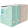 Foldable Magazine File Holder with Gold Label Holder - Set of 4 - Pink and Aqua
