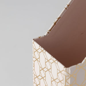 Load image into Gallery viewer, Foldable Magazine File Holder with Gold Label Holder - Set of 4 - Pink and Aqua