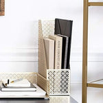Load image into Gallery viewer, Riviera Gold Magazine File Holder - Decorative Magazine Holder for Desk - Metal Magazine Holders for Shelves - Magazine Organizer Bin - Book Holder and File Boxes
