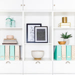 Load image into Gallery viewer, BLU MONACO Set of 4 Foldable Cute Magazine File Holders with Gold Label Holders - 2 Pink and 2 Aqua with Fun Gold Geometric Patterns - Stylish and Durable Magazine Storage for Home and Office
