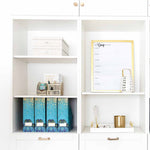 Load image into Gallery viewer, Foldable Magazine File Holder with Gold Label Holder - Set of 4 - Peacock
