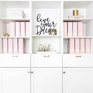 Foldable Magazine File Holder with Gold Label Holder - Set of 6 - Pink