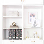 Load image into Gallery viewer, Foldable Magazine File Holder with Gold Label Holder - Set of 4 - Floral and Black
