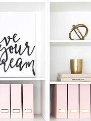 Load image into Gallery viewer, Foldable Magazine File Holder with Gold Label Holder - Set of 6 - Pink