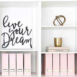 Foldable Magazine File Holder with Gold Label Holder - Set of 6 - Pink