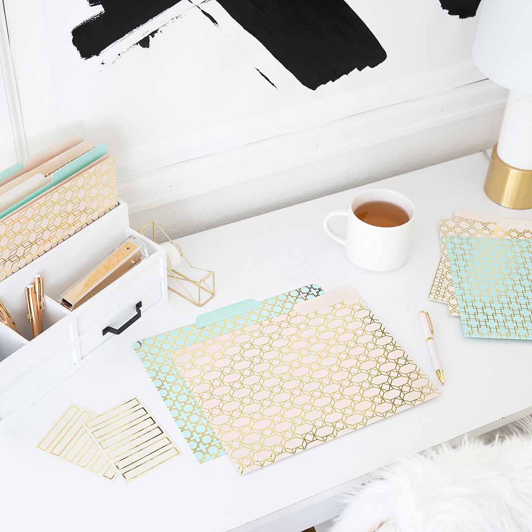 Decorative File Folders - 1/3 Cut Tabs - Letter Size - Set of 12 - 2 E ...