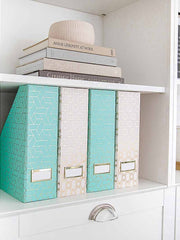Load image into Gallery viewer, Foldable Magazine File Holder with Gold Label Holder - Set of 4 - Pink and Aqua
