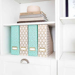 Load image into Gallery viewer, Foldable Magazine File Holder with Gold Label Holder - Set of 4 - Pink and Aqua
